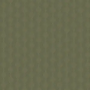  Loymina  BRIT21 005/1 -  1