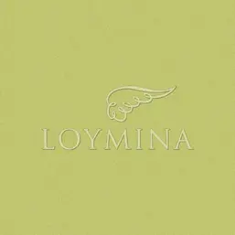  Loymina Satori II ST0503