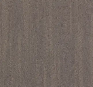  Loymina Satori III F2 110 -  1