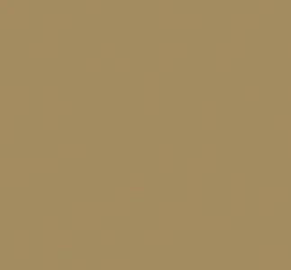  Loymina Satori III SAT3 005/1 -  1