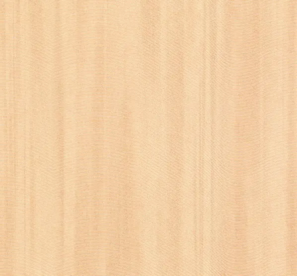  Loymina Satori IV F2 016 -  1