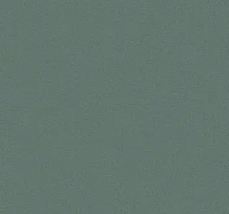  Loymina Satori IV Ph10 005/3 -  1