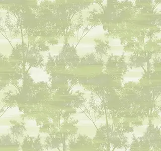  Loymina Satori IV SAT31 005/1 -  1
