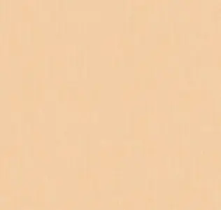  Loymina Shade SD2 003 -  1