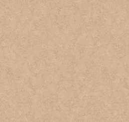  Loymina Shade SD3 002/2