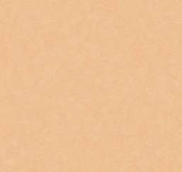  Loymina Shade SD3 003