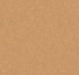  Loymina Shade SD3 004/4