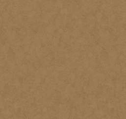  Loymina Shade SD3 009