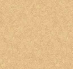  Loymina Shade SD3 112