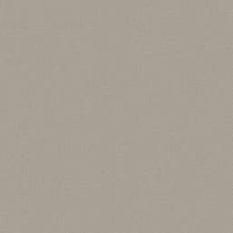  Loymina Shade Vol.2  SDR1-002-1