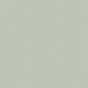  Loymina Shade Vol.2  SDR1-008-1 -  1