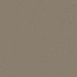  Loymina Shade Vol.2  SDR1-012