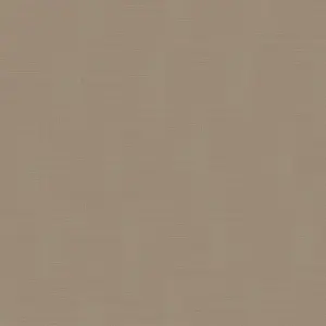  Loymina Shade Vol.2  SDR2-002-3 -  1