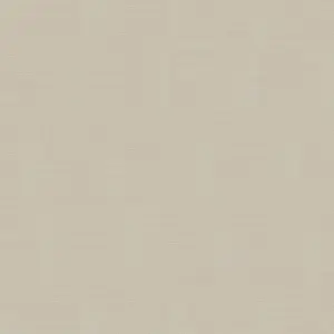  Loymina Shade Vol.2  SDR2-005-1 -  1