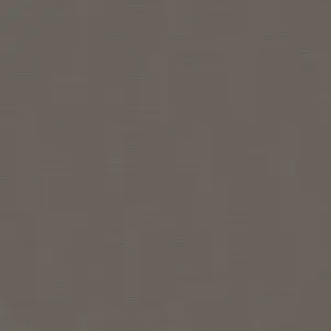  Loymina Shade Vol.2  SDR2-009 -  1