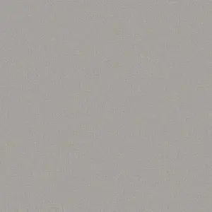  Loymina Shade Vol.2  SDR3-008 -  1