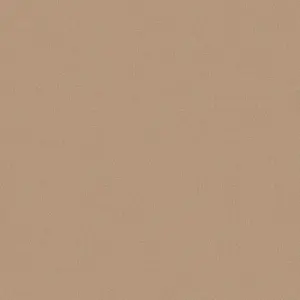  Loymina Shade Vol.2  SDR3-012-2 -  1