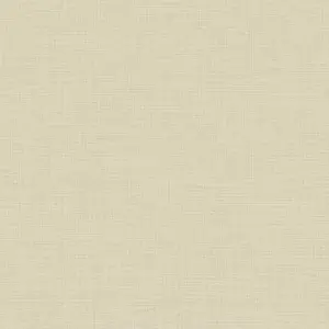 Loymina Shade Vol.2  SDR4-005 -  1