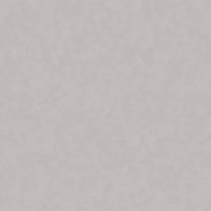  Loymina Shade Vol.2  SDR5-001-2 -  1