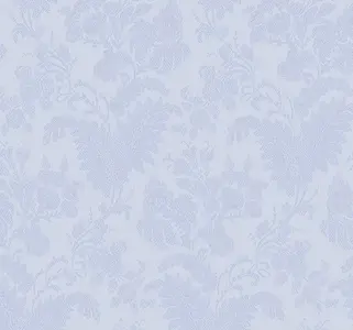  Loymina Sialia Q1 006 -  1