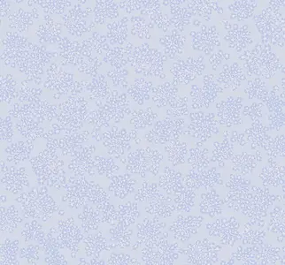  Loymina Sialia Q3 006 -  1