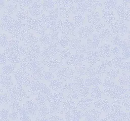  Loymina Sialia Q3 006
