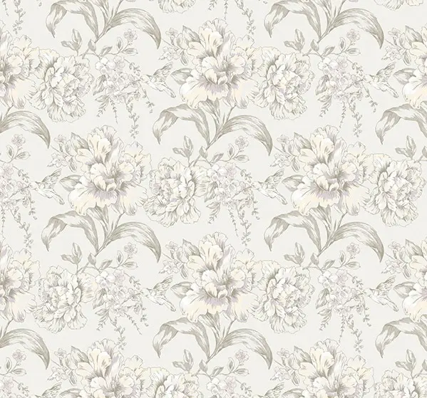  Loymina Sialia Q6 001 -  1