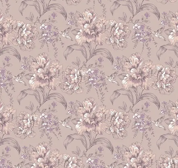 Loymina Sialia Q6 221 -  1