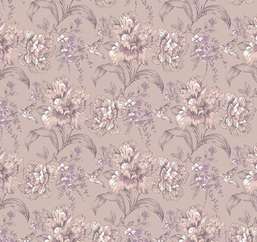  Loymina Sialia Q6 221