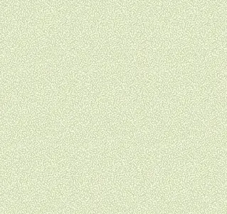  Loymina Sialia Q7 005 -  1