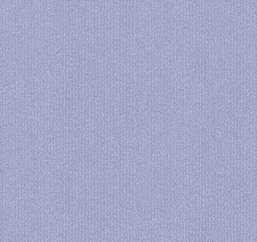  Loymina Sialia Q8 006/1