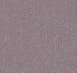  Loymina Shelter Tex1 020