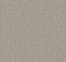  Loymina Shelter Tex5 002/1
