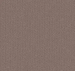  Loymina Shelter Tex5 009 -  1