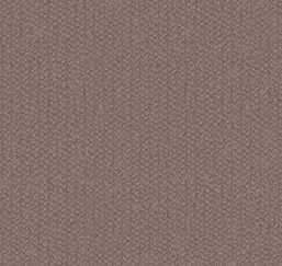 Loymina Shelter Tex5 009