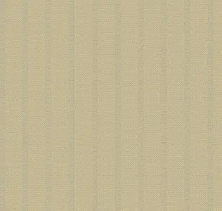  Loymina Shelter Tex6 004 -  1