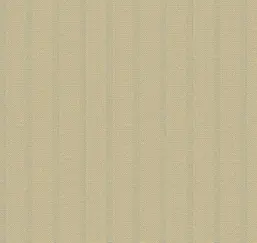  Loymina Shelter Tex6 004