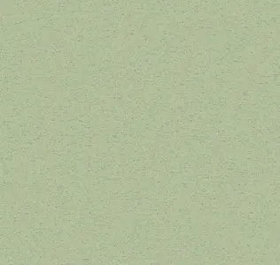  Loymina Satori IV Tex7 005/1 -  1