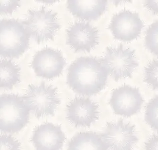  Loymina Timeless TS1 001 -  1