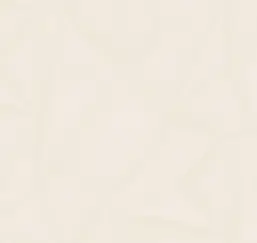  Loymina Timeless TS10 001