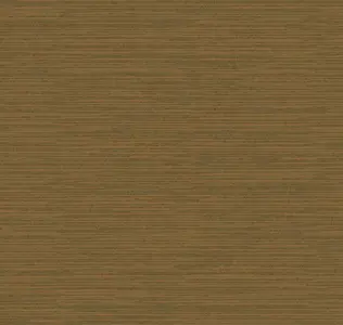  Loymina Timeless TS11 005/1 -  1