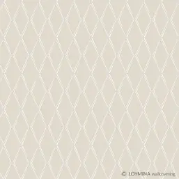  Loymina Tondo Td3 001