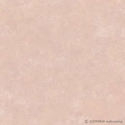  Loymina Tondo Td7 007