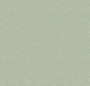  Loymina Classic II V3 005 -  1