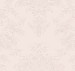  Loymina Classic II V6 002/1