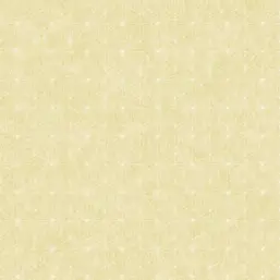  MIRA Nika WM190307034