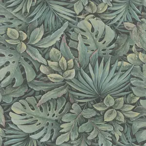  Marburg Botanica  33004 -  1