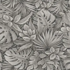  Marburg Botanica  33005 -  1