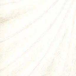  Marburg Colani Evolution 56308