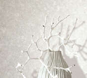 ���� Marburg Balance 36161 - ���� 13